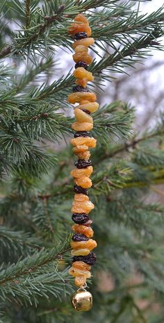 a bunch of donuts hanging from a pine tree