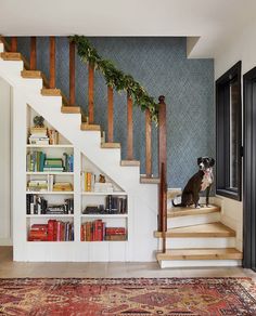 a dog is sitting on the stairs next to bookshelves