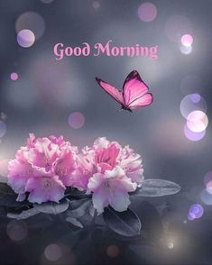 two pink flowers and a butterfly on a purple background with the words good morning written below