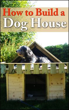 a dog house with the title how to build a dog house