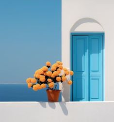 a potted plant with yellow flowers sitting in front of a blue and white door