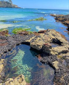 the water is crystal blue and clear at this beach near to some rocks with algae growing on them