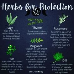 Herbs For Protection, Herbal Witch, Witchcraft Herbs, Magickal Herbs, Witch Herbs, Green Witchcraft, Witch Spirituality, Witch Garden, Healing Magic