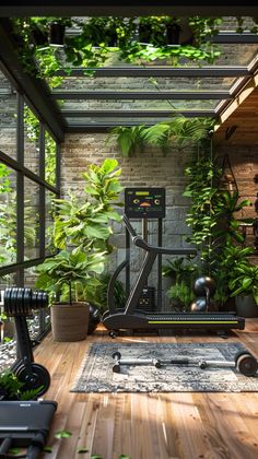 an indoor gym with plants and exercise equipment in the corner, including a treadmill