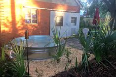 an outdoor hot tub surrounded by plants and gravel in front of a brick building with red umbrellas