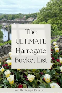 the ultimate harrogate bucket list with flowers in front of it and text overlay that reads, the ultimate harrogate bucket list