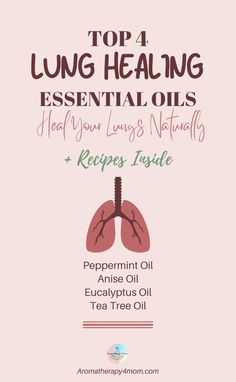 4 Lung Healing Essential Oils to heal your lungs NATURALLY | We'll talk about natural ways to heal and cleanse the lungs in this piece. Our lungs are critical to our health and survival. If our lungs aren't working properly, we may experience a variety of health issues, including reduced oxygen absorption, which is harmful to our health. Everything you need to know about Lung Healing Essential Oils may be found right here. #EssentialOilsForLungs #LungsCleansing #OilsForLungs #Aromatherapy Lung Healing, Anise Oil, Healing Essential Oils, Ways To Heal, Eucalyptus Oil, Lungs, Tea Tree Oil