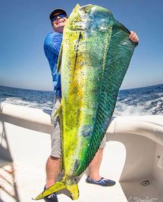 a man on a boat holding a large fish