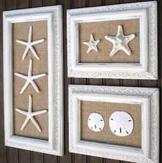 two framed pictures with starfishs and sand dollars on the bottom one is white