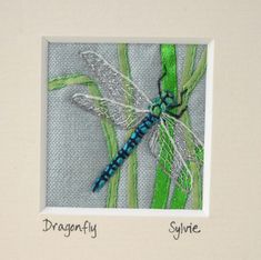 a dragonfly sitting on top of a green plant next to the words dragonfly syvine