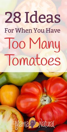 tomatoes and peppers with text overlay that says 28 ideas for when you have too many tomatoes