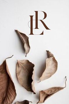 the letter r is surrounded by leaves on a white surface with brown lettering that reads,