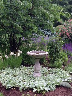 a bird bath in the middle of a garden filled with flowers and plants, surrounded by trees