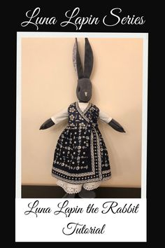 an image of a stuffed rabbit in a dress with the words luna lapin series on it