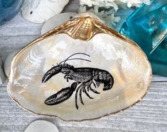 an oyster shell with a lobster drawn on it next to sea shells and seashells