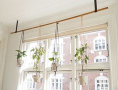 some plants are hanging from the window sill