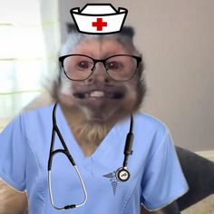 a monkey with glasses and a doctor's hat on