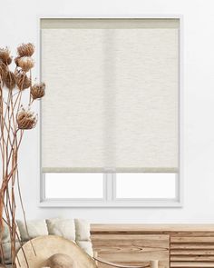 a living room scene with focus on the blinds