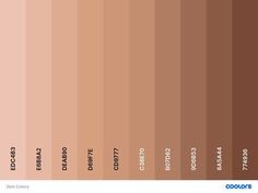 the shades of brown and pink are shown in this color chart, which shows different shades