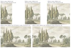 four different views of trees in various stages of growth, from the beginning to the end