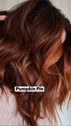 Haircolor Fall 2023, Cowboy Copper Hair Color Brunette, Dark Red Hair With Blonde Highlights Balayage, Dark Hair Copper Balayage, Autumn Hair Styles 2023, Fall Hair Trends 2023 Brunette, Dark To Red Ombre Hair, Auburn Summer Hair Color, Fall Hair Color Ideas 2023