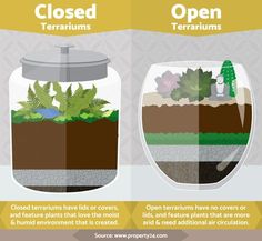 the different types of terrariums are shown in this diagram, and there is also information about them