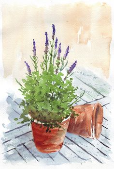 a watercolor painting of a potted plant on a wooden table with purple flowers