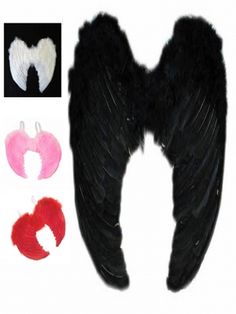 two pairs of black wings with white and pink feathers