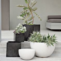 three white and black planters sitting on top of a wooden floor next to a couch