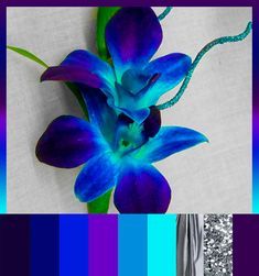 a purple and blue flower with green stems in front of a white background that has silver flakes on it