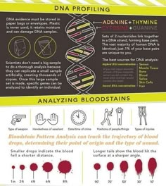 an info poster describing the different types of blood