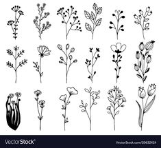 different types of flowers in black and white