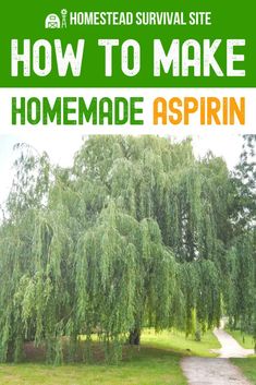 a tree with the words how to make homemade aspirin