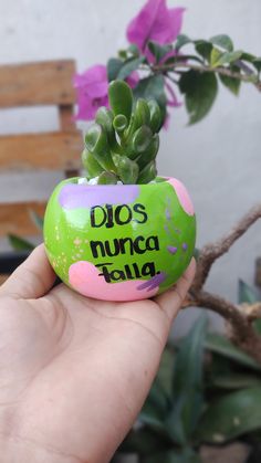 a hand holding a rock with a plant in it that says dios nunca falla