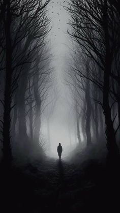 a person standing in the middle of a dark forest