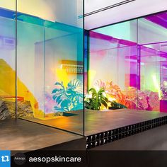 an office building with colorful glass walls and plants