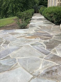 a stone walkway with trees in the background