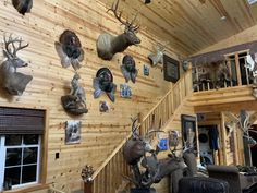 several deer head mounted on the wall in a room with wood paneled walls and stairs