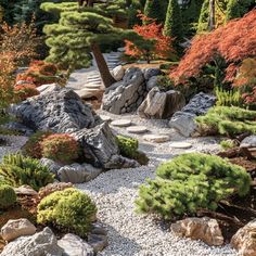 a garden with rocks and trees in the background