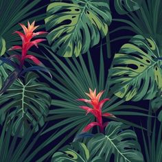 an illustration of tropical leaves and flowers on a dark background with red and green colors