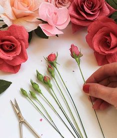 someone is working on some flowers with scissors