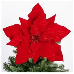 a large red poinsettia sitting on top of a tree