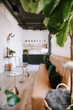 a long wooden bench sitting in front of a table with plants on top of it