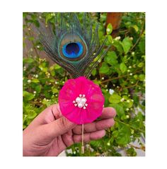 a hand holding a pink flower with a peacock feather on it