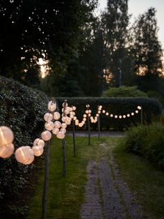 some lights that are on the side of a path in the grass and trees with bushes behind them