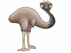 an ostrich with orange eyes standing in front of a white background