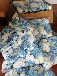 there are many blue and white flowers in the box on the floor next to each other