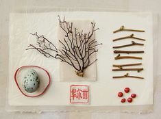 an arrangement of branches, eggs and other items are displayed on a piece of paper