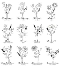 the different types of wildflowers and their names in black ink on white paper