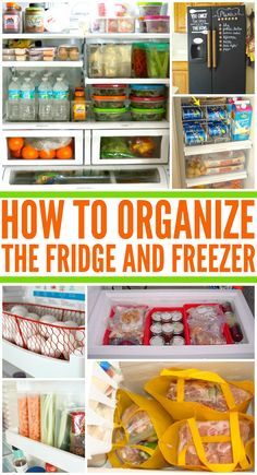 how to organize the fridge and freezer